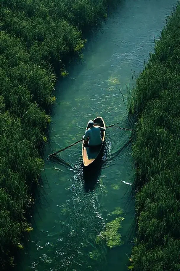 亚洲黄色电影《逆流而上》剧照，墨绿色调逆流撑船对角线